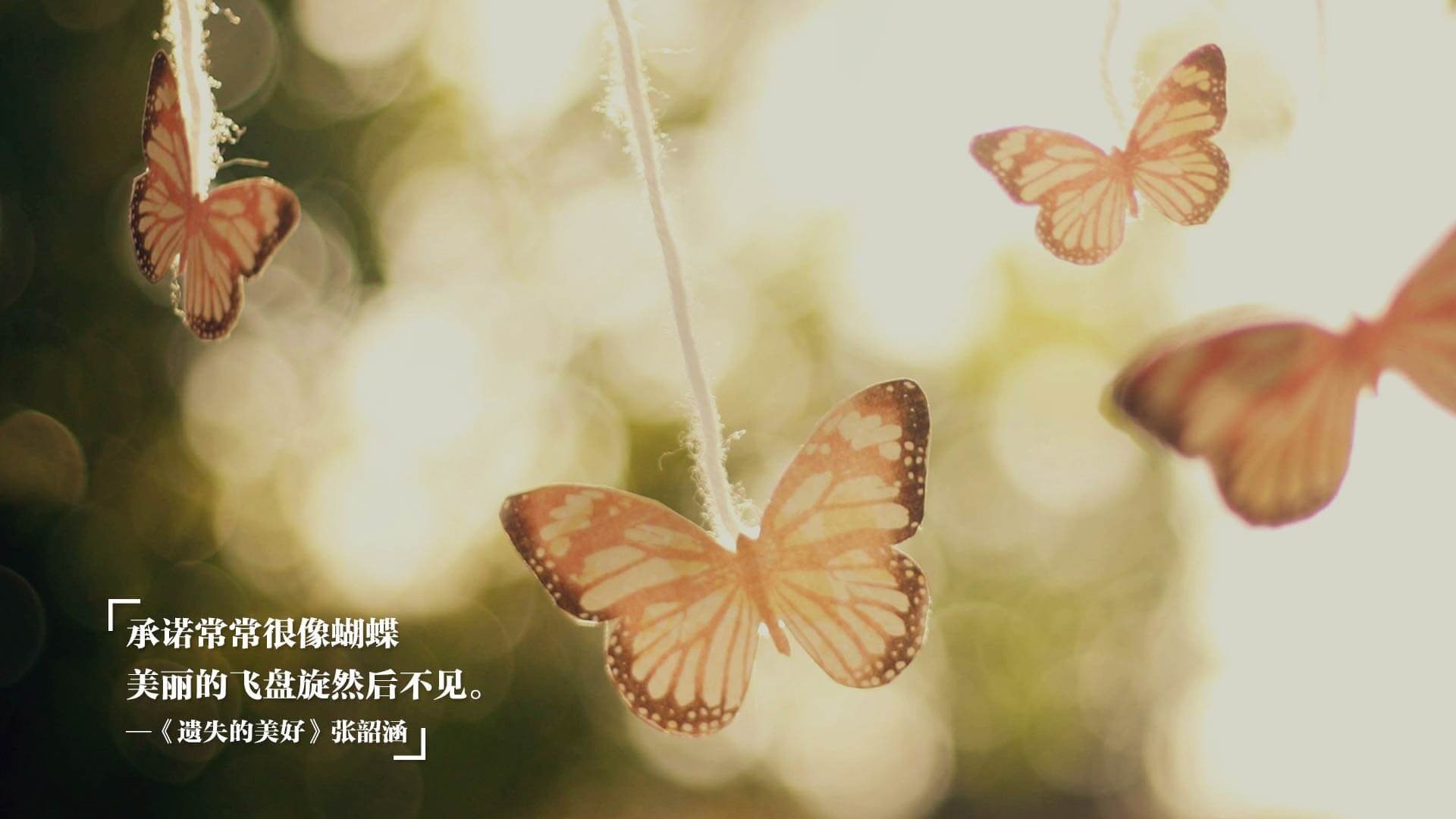 辽宁飞豹重视技战术细节追求极致执行力，辽宁飞豹是什么企业