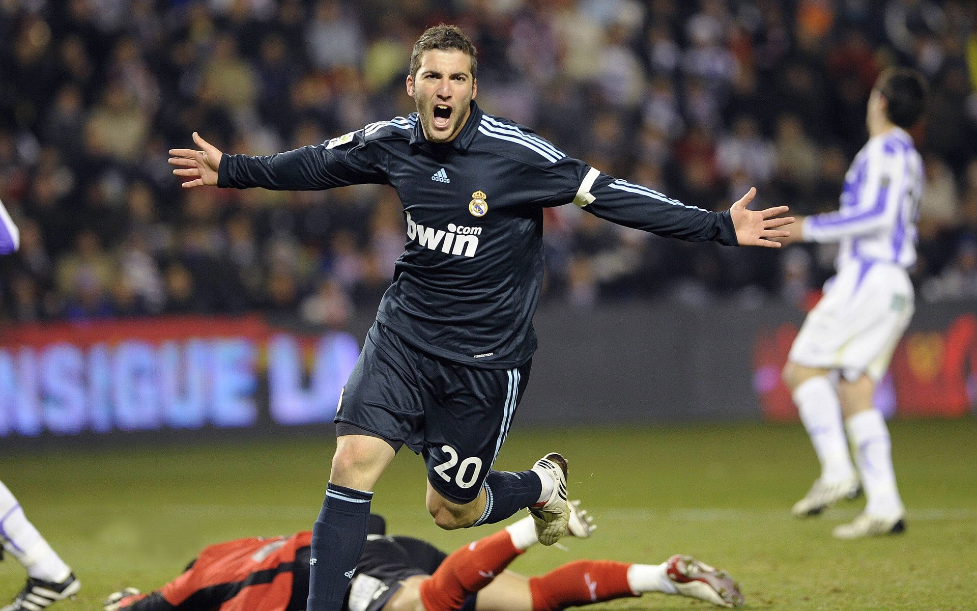 拳击赛事观众人数增长,拳击比赛数据